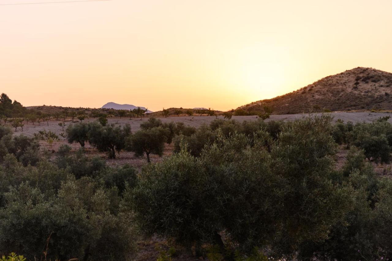 Complejo Rural Sol De Taberno Guest House Luaran gambar