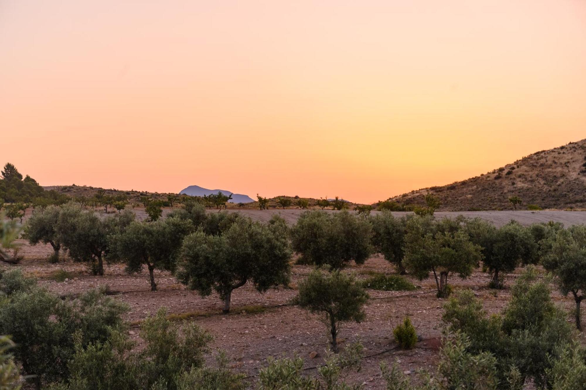Complejo Rural Sol De Taberno Guest House Luaran gambar